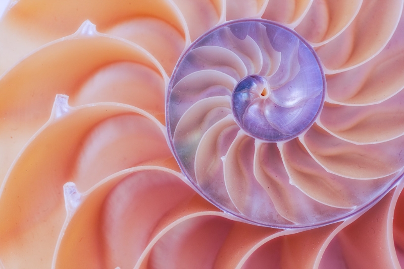 berks-photo-workshop-060813-62-of-191-edit