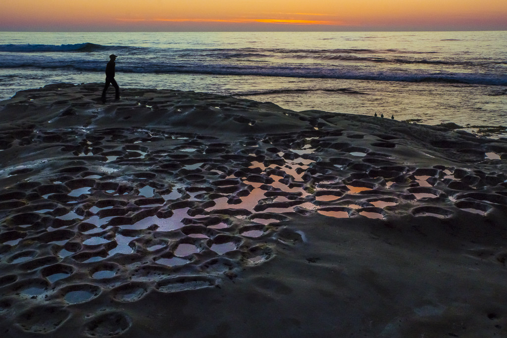 Hospital Reef at La Jolla, California_