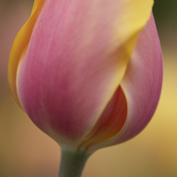 untitled-07438