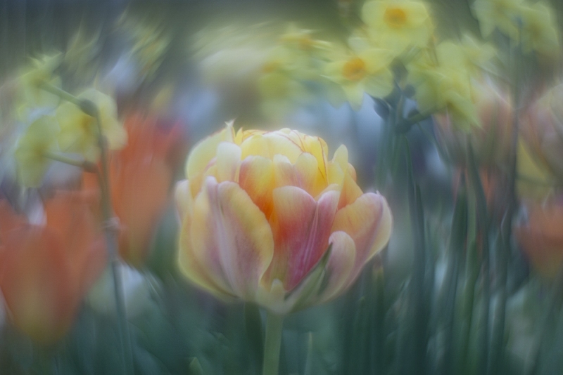 untitled-09765-Edit
