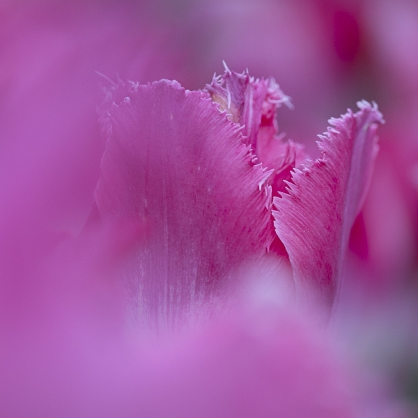 untitled-07570