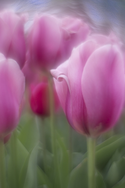 untitled-09826-Edit