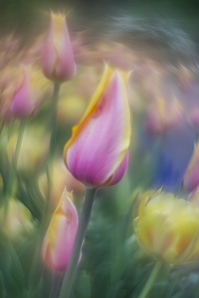 untitled-09804