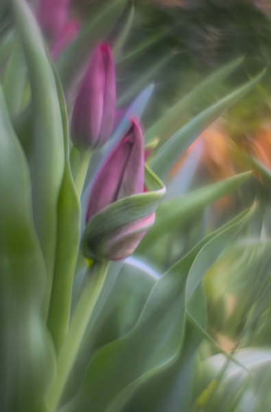 untitled-09885-Edit