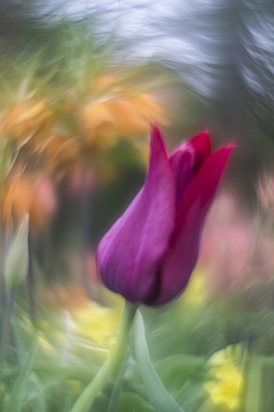 untitled-09838-Edit