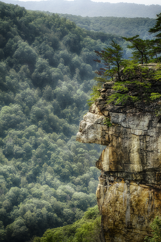 West Virginia-1596