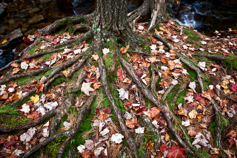 acadia-16_hdr_2