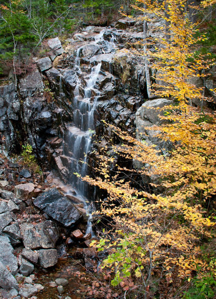 acadia-45