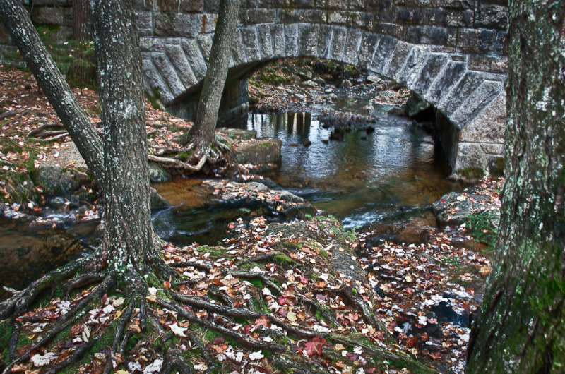 acadia-4_hdr_2