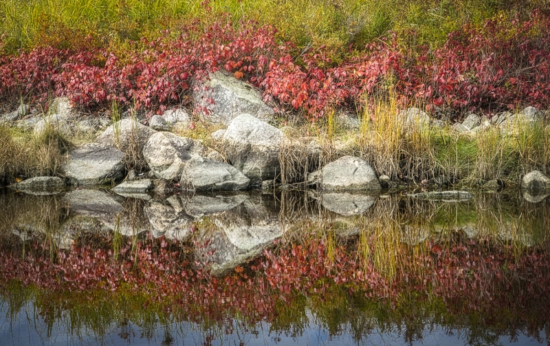 Acadia-11