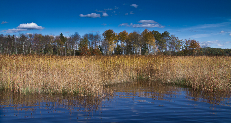 acadia-58-edit