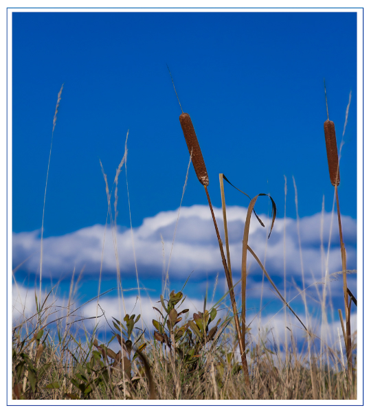 acadia-77-edit-edit-edit