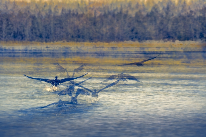 untitled-04015-Edit-Edit