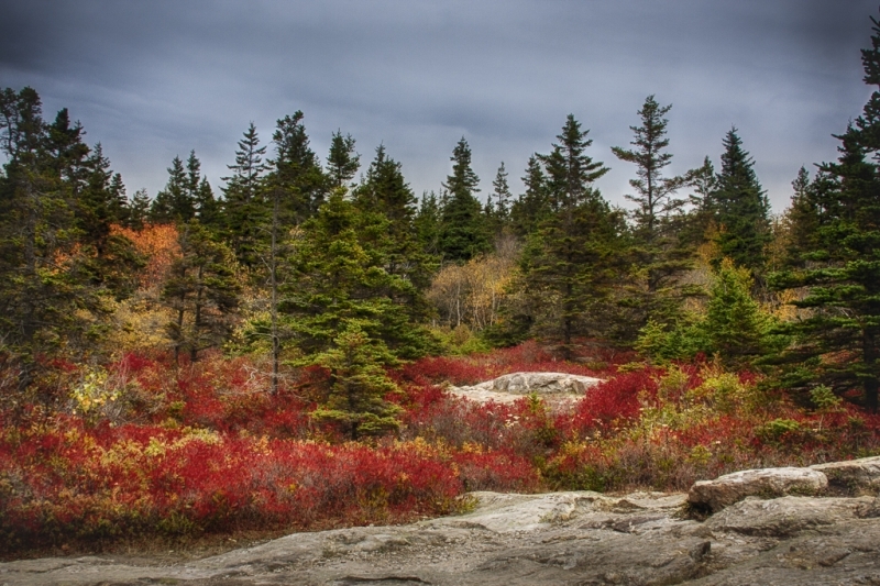 Acadia NP-2486_HDR-52