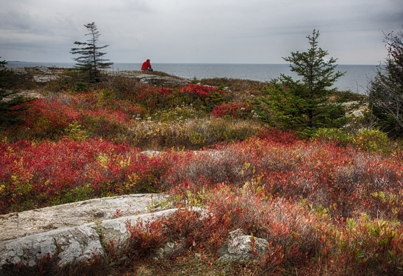 Acadia NP-2516_HDR-51