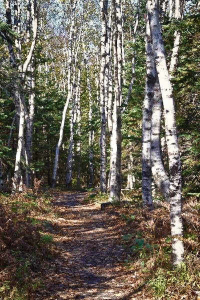 acadia-39_hdr