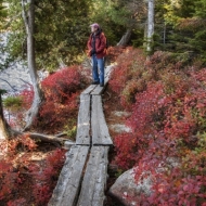 Jordan Pond-2308