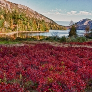 acadia-196_hdr