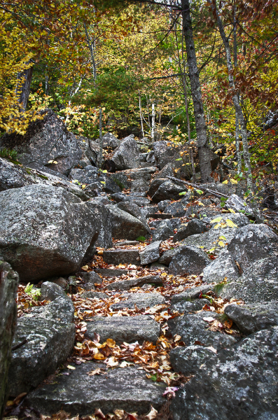 acadia-10_hdr