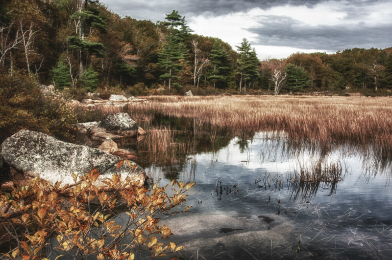 acadia-189_hdr-edit