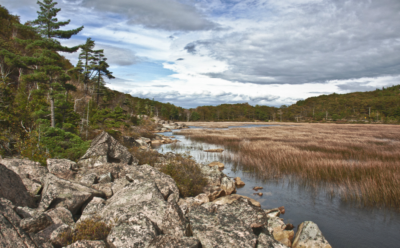 acadia-204_hdr