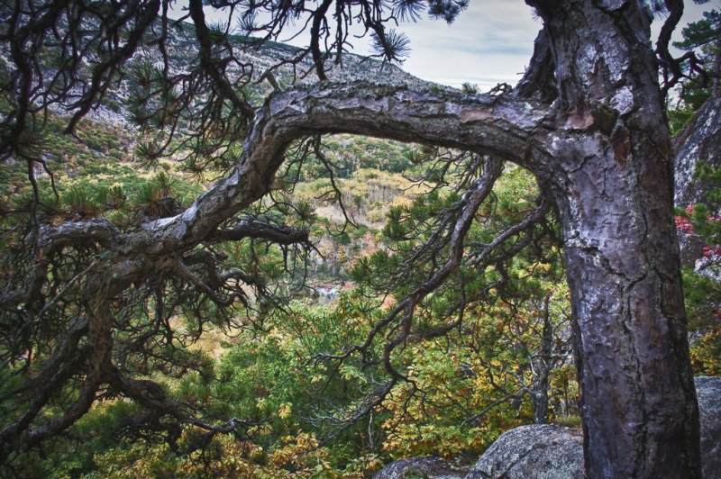acadia-63_hdr