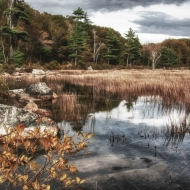 acadia-189_hdr-edit