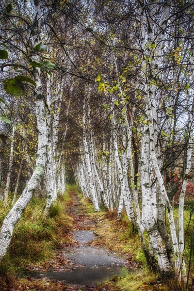 Jesup path-72