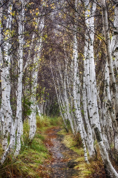 Jesup path-73