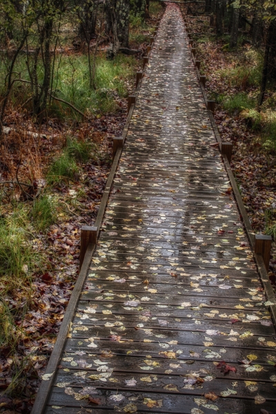 Jesup path-74