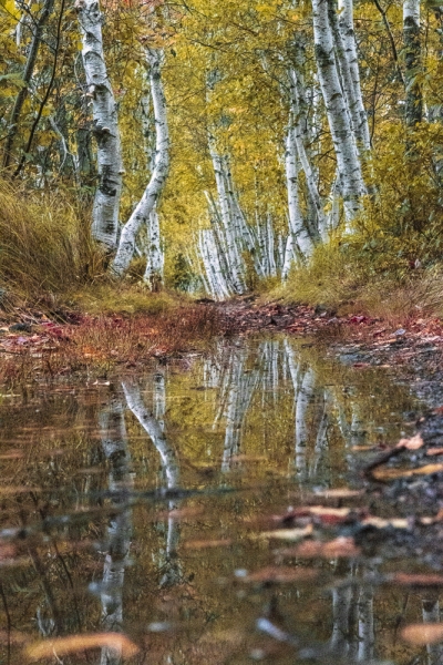 autumn-glow