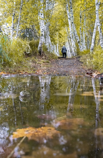 untitled-03099-Edit