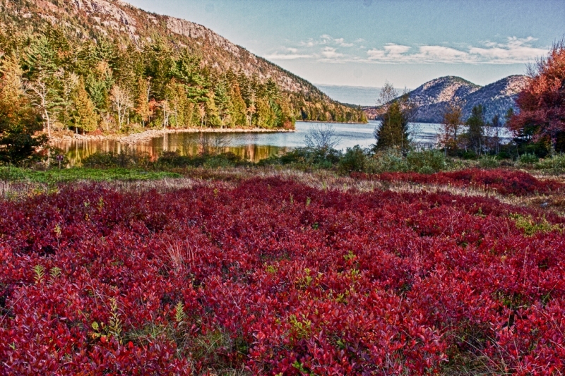 Acadia-196_HDR