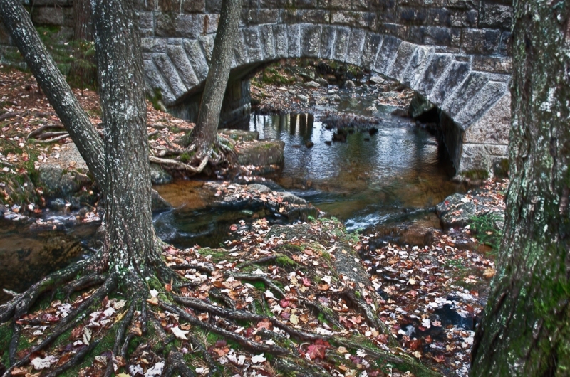 Acadia-4_HDR_2