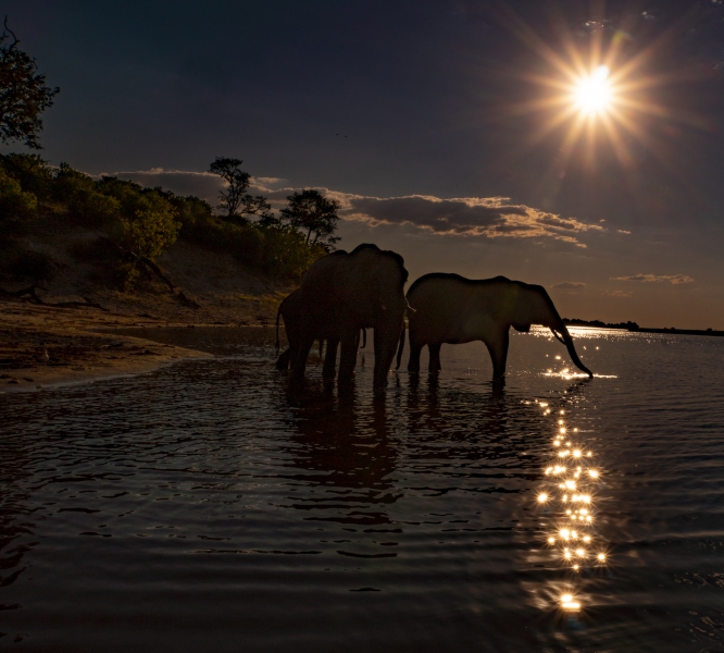 Botswana -00053