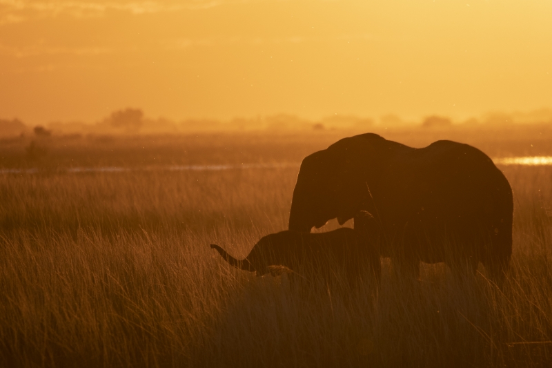 Botswana-0657