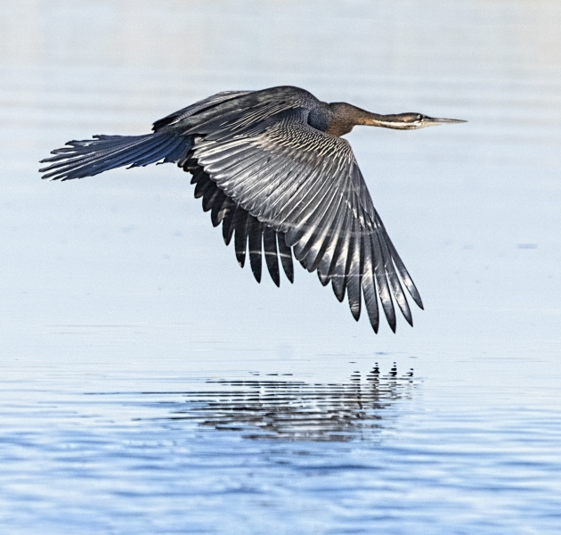 Botswana -2352-Edit