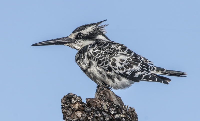 Botswana -2683-Edit