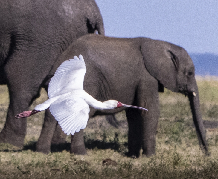 Botswana -3017