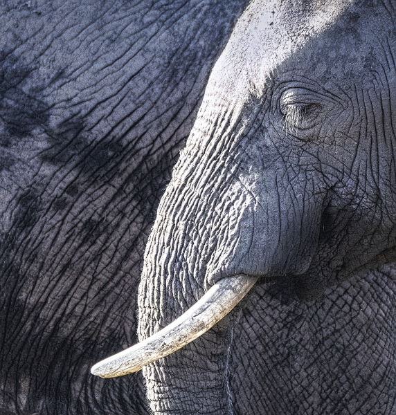 Botswana -3709-Edit