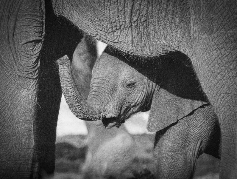 Botswana -3875-Edit
