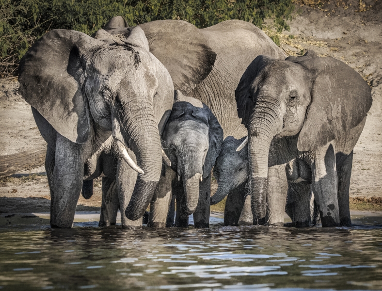 Botswana -3960-Edit-2