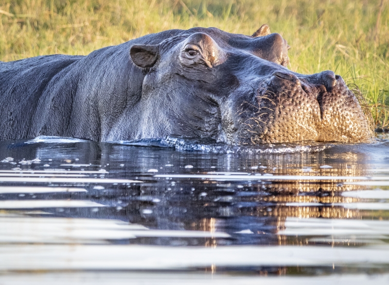Botswana -4097
