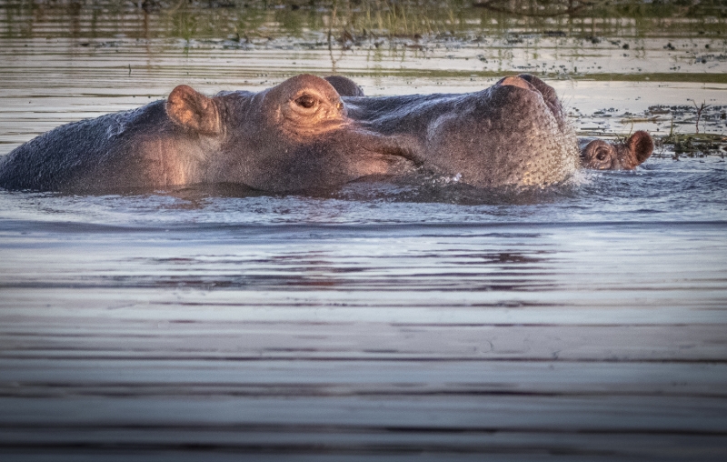 Botswana -4172