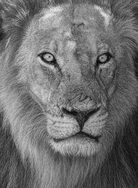 Botswana -5280-Edit