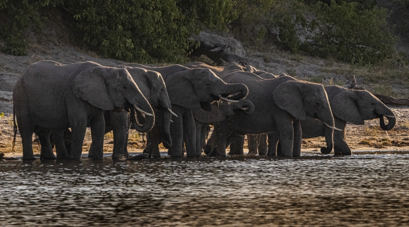 Botswana -6214