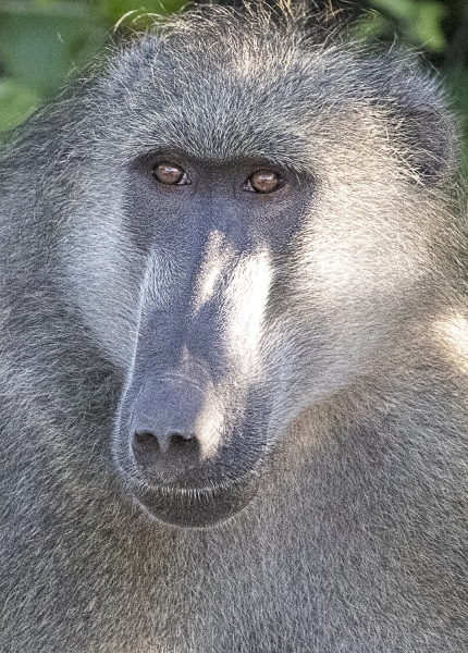 Botswana -7305-Edit