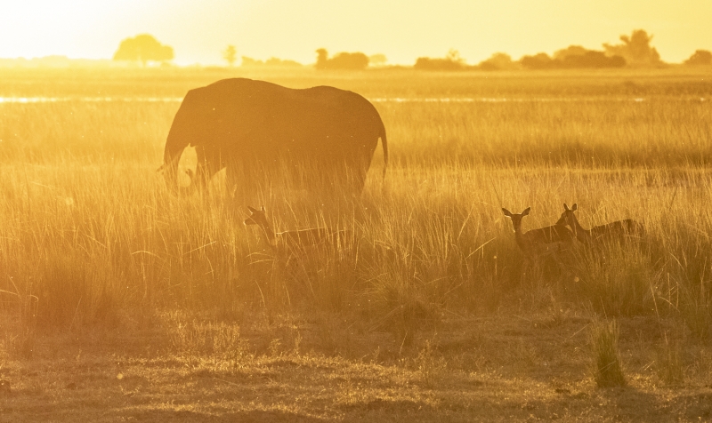 Botswana -7764