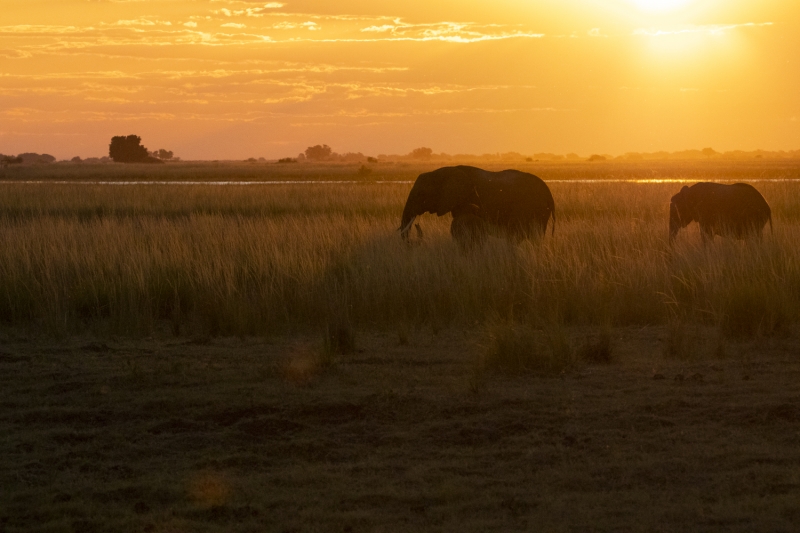 Botswana -7799
