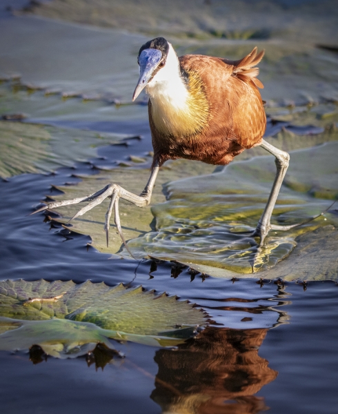 Botswana -8157-Edit